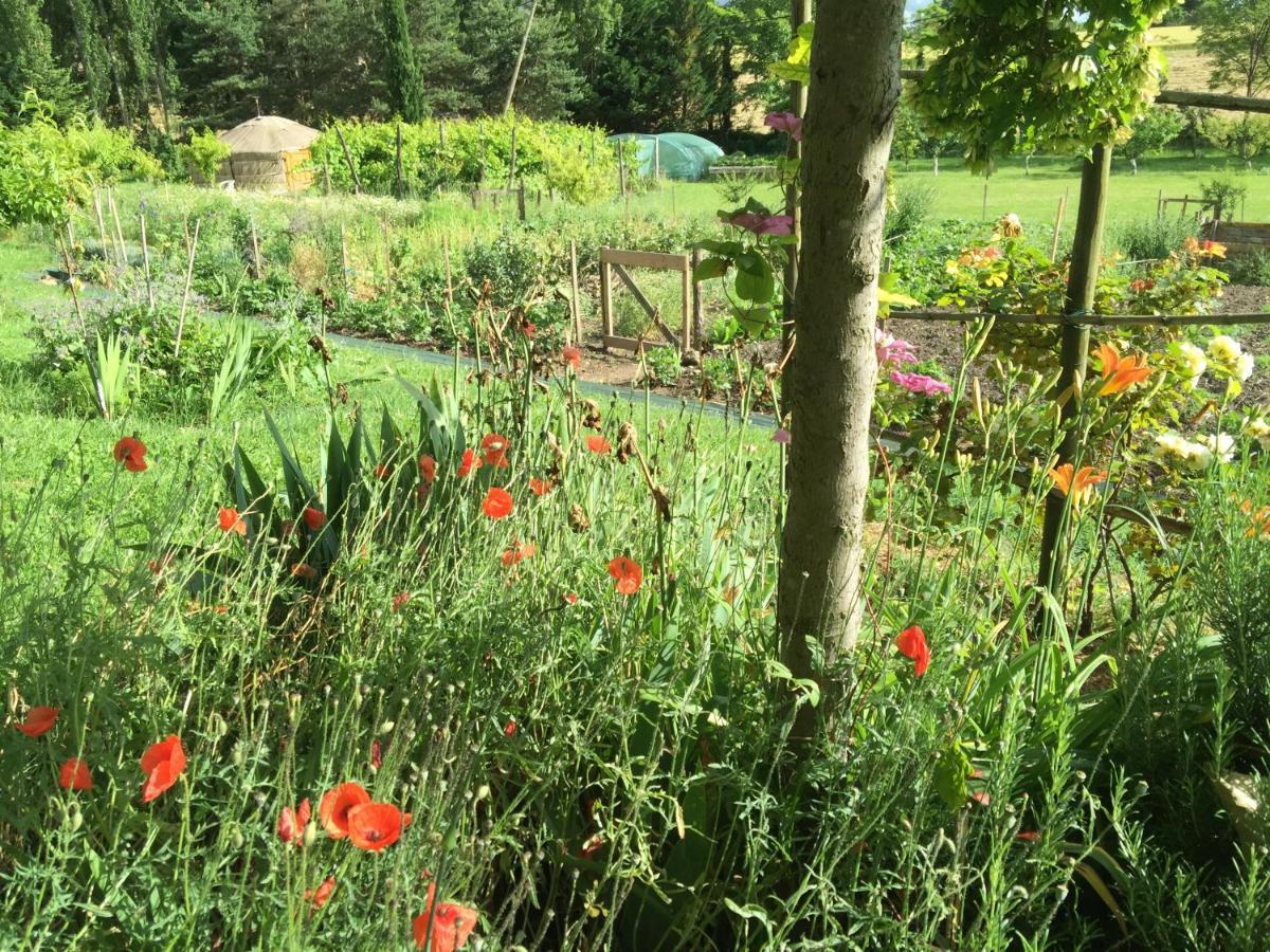 Chabeuil La Source, Vegetarian Guest House מראה חיצוני תמונה