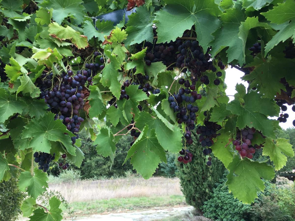 Chabeuil La Source, Vegetarian Guest House מראה חיצוני תמונה