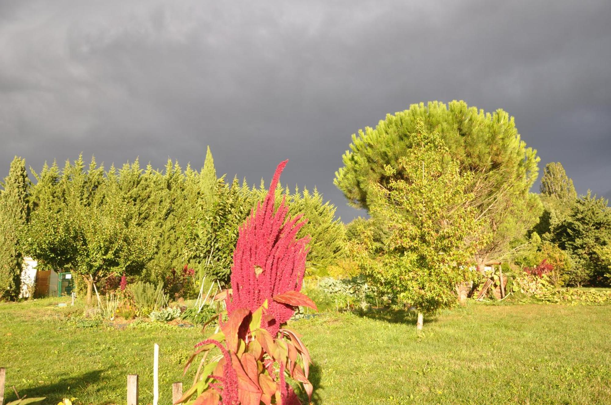 Chabeuil La Source, Vegetarian Guest House מראה חיצוני תמונה