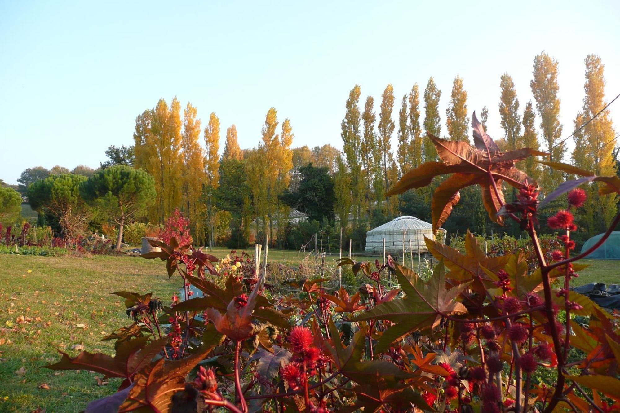 Chabeuil La Source, Vegetarian Guest House מראה חיצוני תמונה