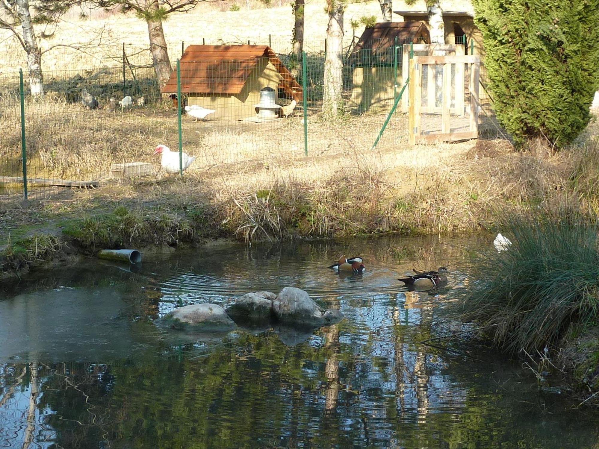 Chabeuil La Source, Vegetarian Guest House מראה חיצוני תמונה