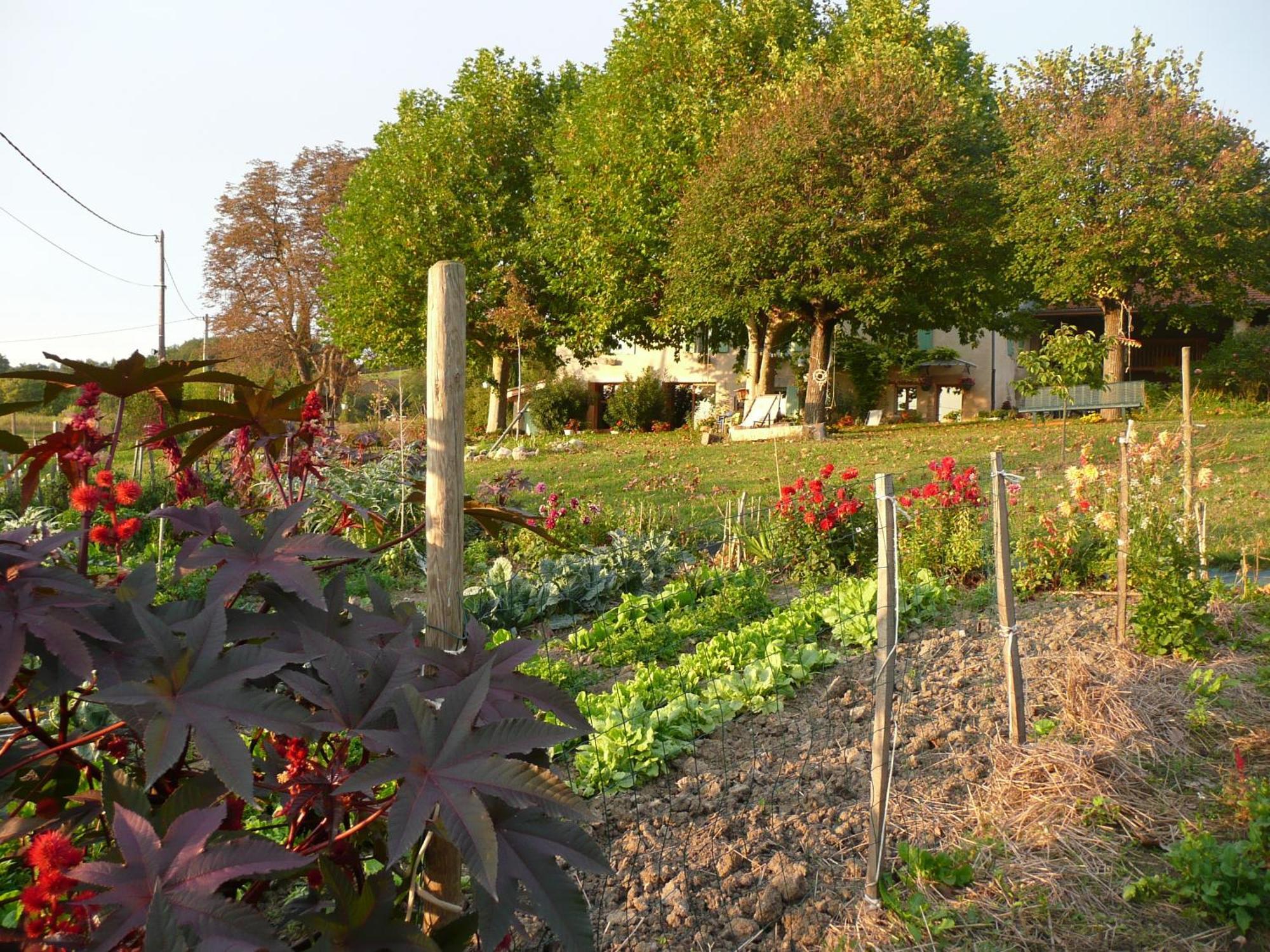 Chabeuil La Source, Vegetarian Guest House מראה חיצוני תמונה
